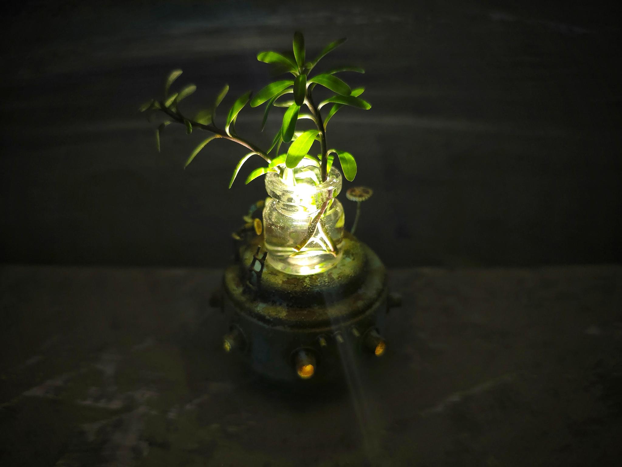未来観測機 | 6枚目