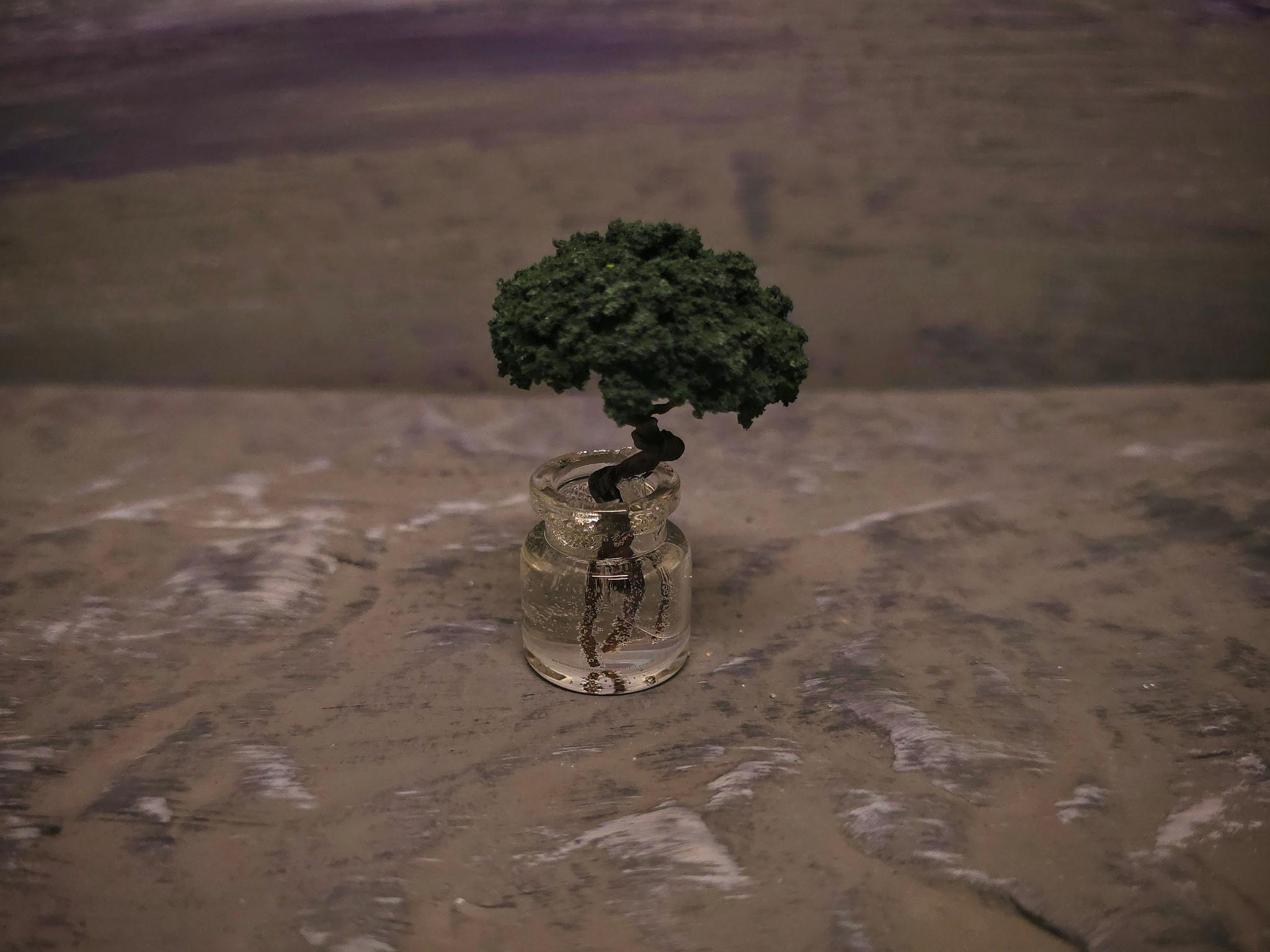 プラントツリー　（Plantなどのソウチに乗せられる樹木) | 4枚目