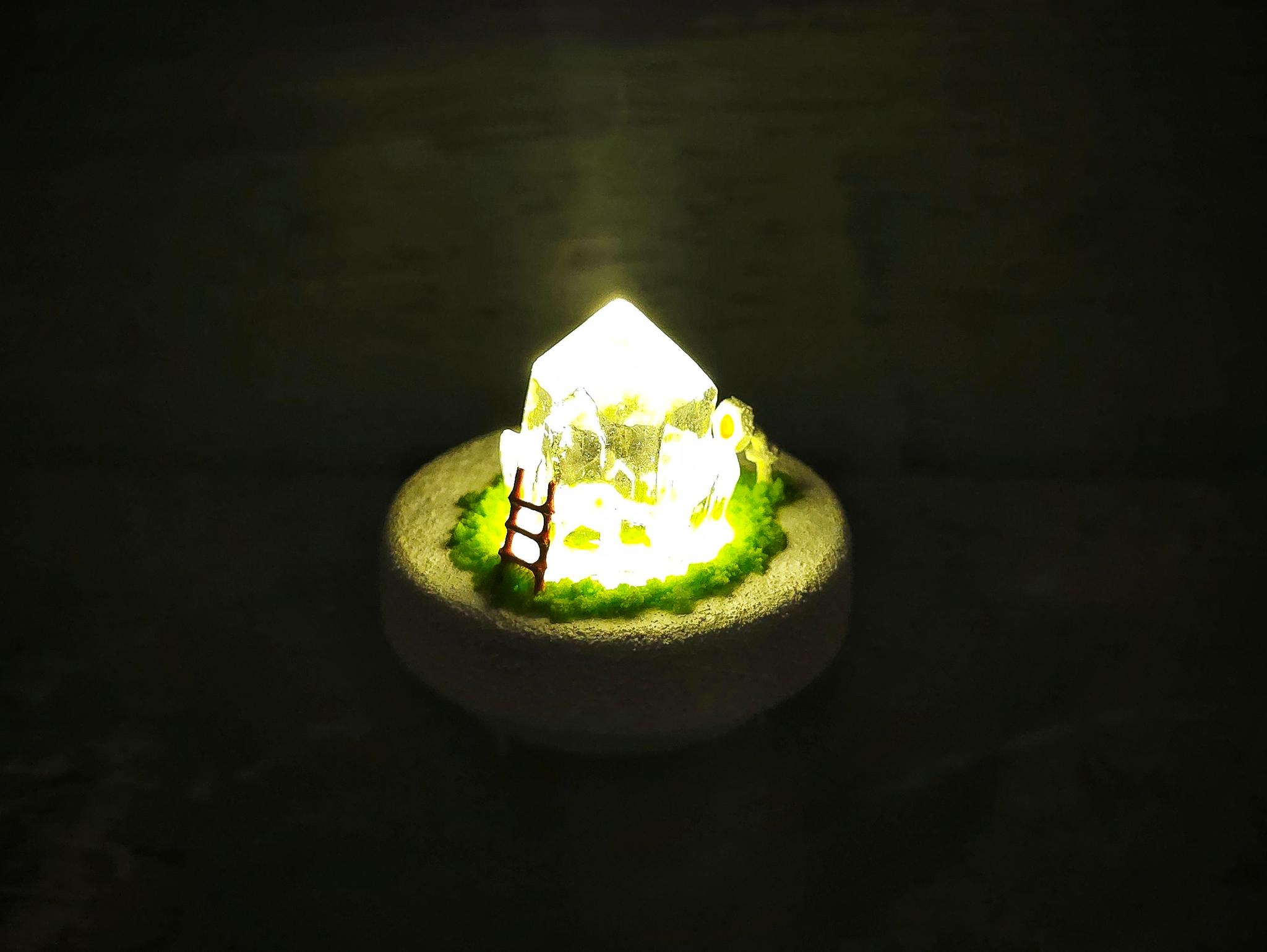 Plant mini | 2枚目