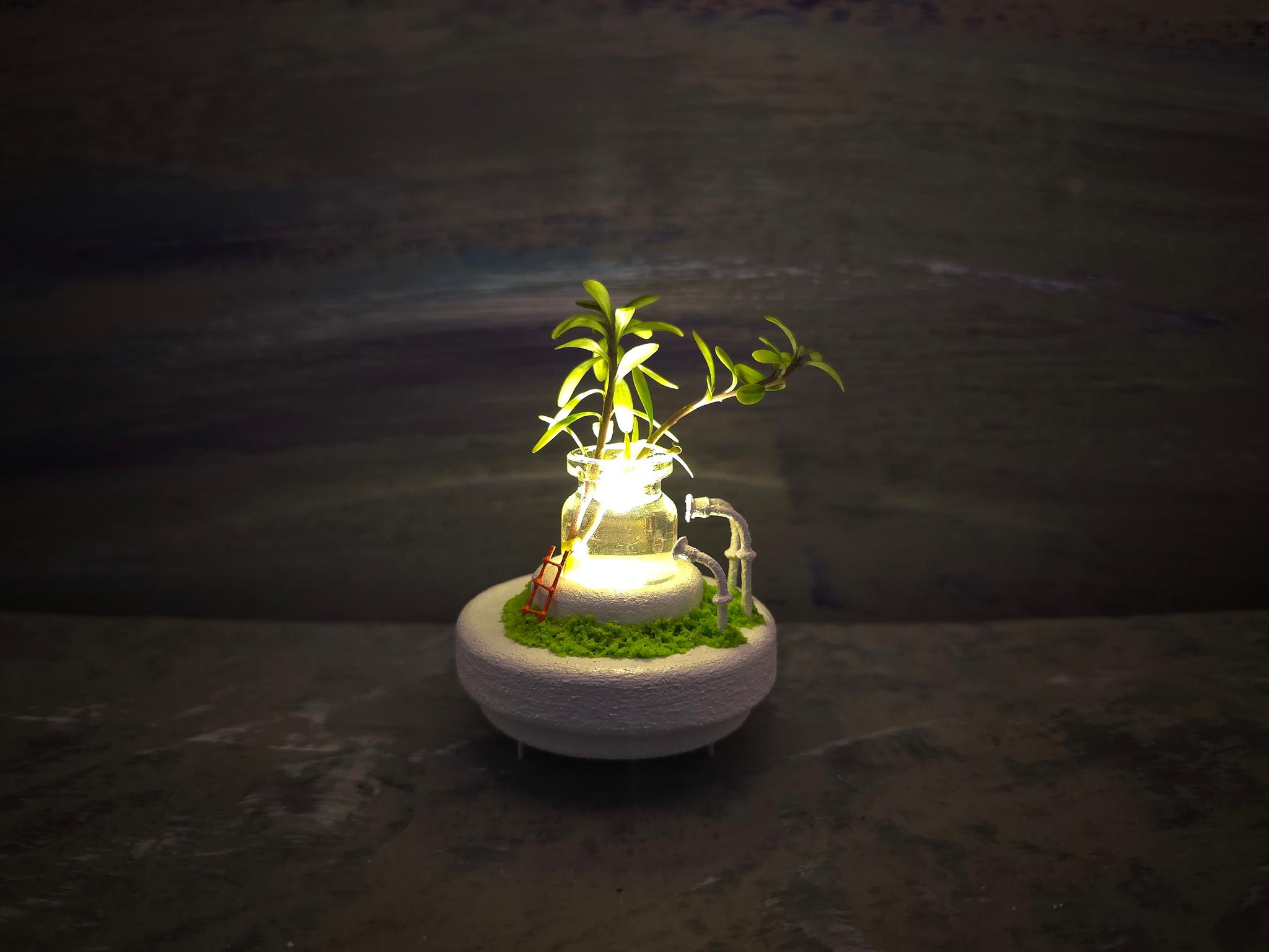 生命を創る小さな装置　『 Plant 4 』 | 2枚目