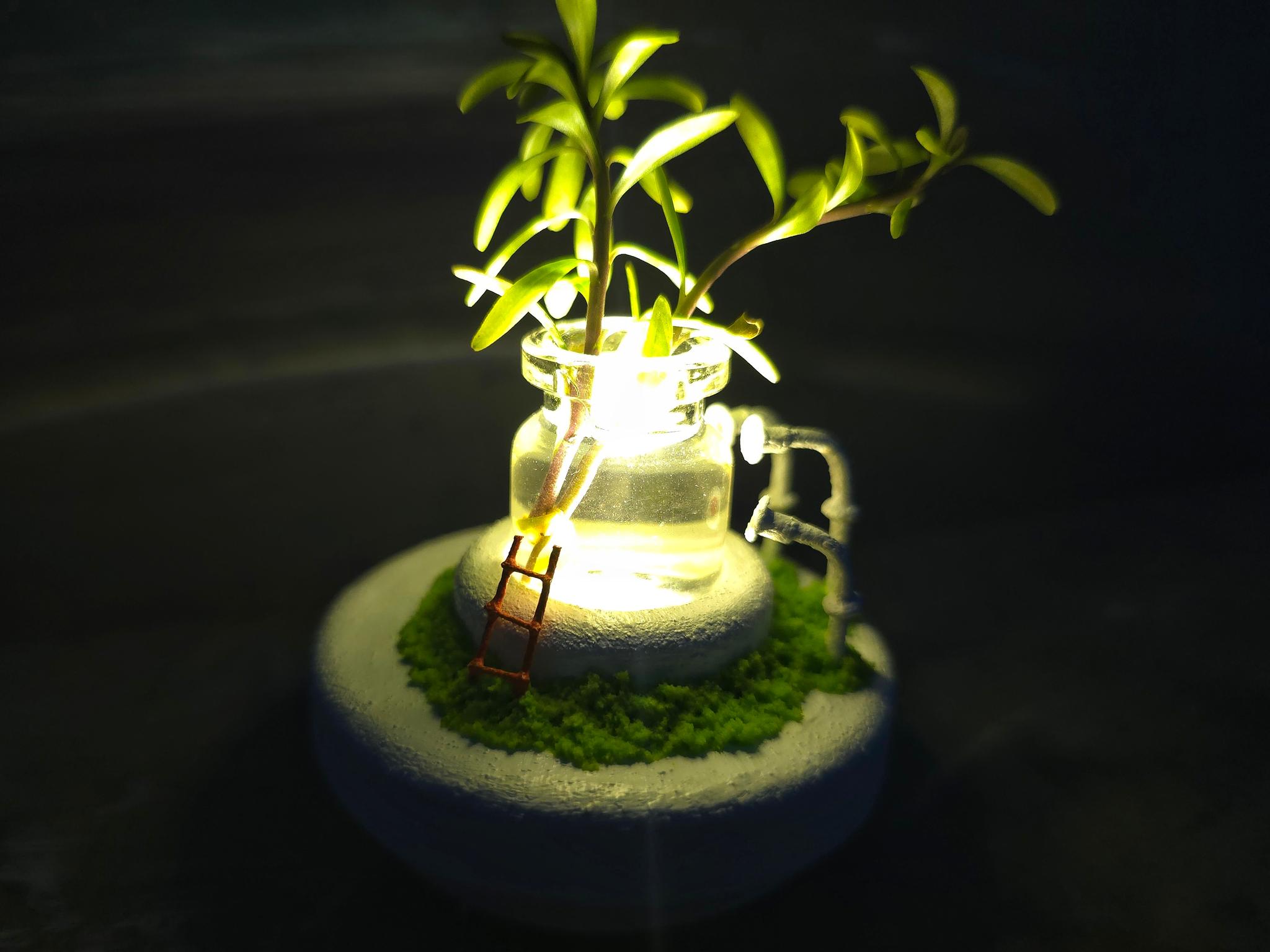 生命を創る小さな装置　『 Plant 4 』 | 3枚目