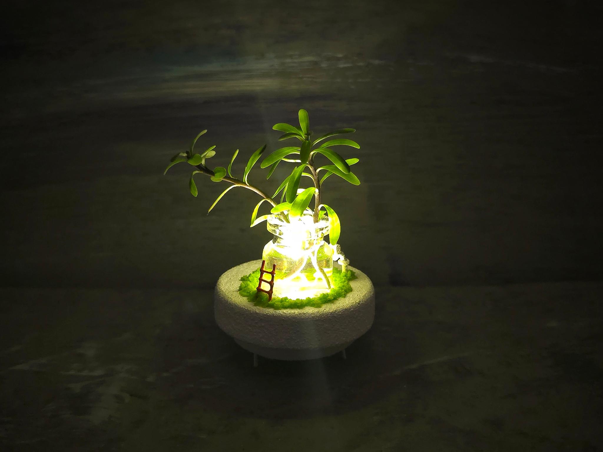 Plant mini
